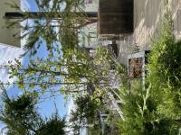 Nicola ALEXANDRE - ADN AGENCEUR DECORATEUR NICOLA