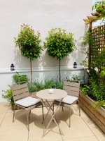 Marion TROUILLET - PASSERELLE